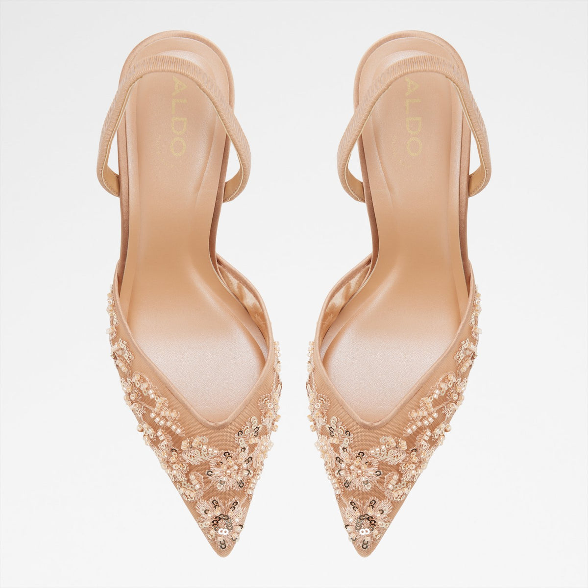 Carollina - Frappe (276) - image 5