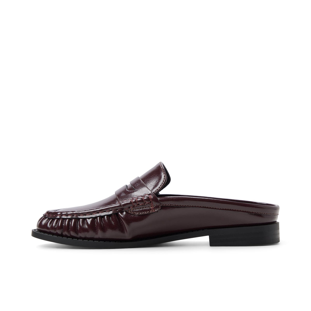Cirella - Bordo - image 2