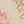 Janeyy - BEIGE - image 5