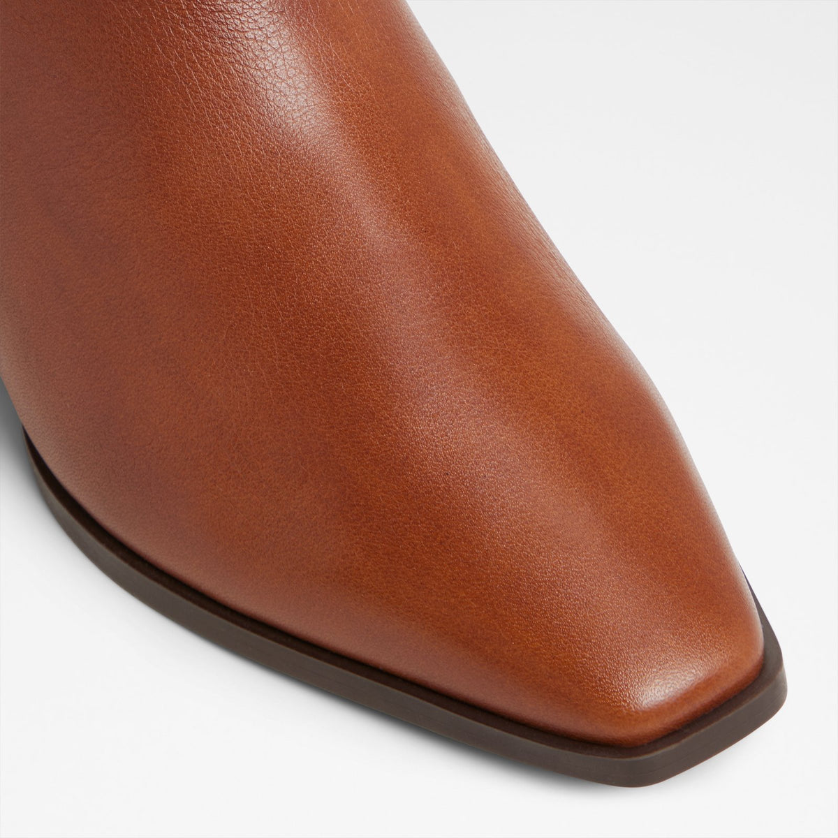 Raneldar - Brown - image 4